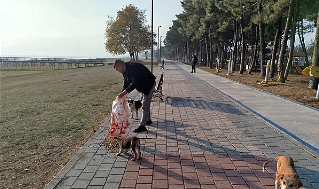 Orhangazi Belediyesi’nden sokak hayvanlarına kış desteği