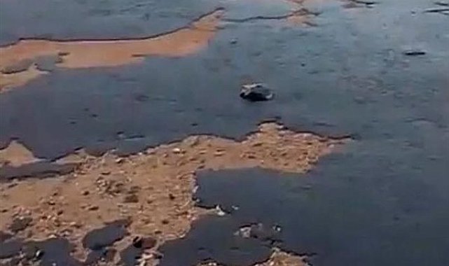 Rusya'da tanker kazasının ardından sızan petrol kıyıya vurdu