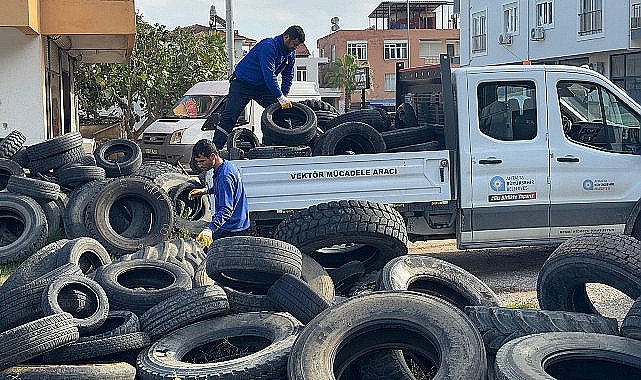 Sineklerin üreme alanı lastikler toplanıyor