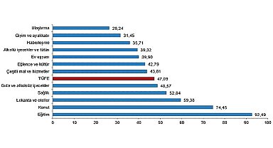 Tüik Tüketici fiyat endeksi (TÜFE) yıllık %47,09, aylık %2,24 arttı
