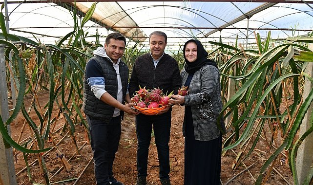 Vali Şıldak, ejder meyvesi üreticisi Yavuz ailesini ziyaret etti