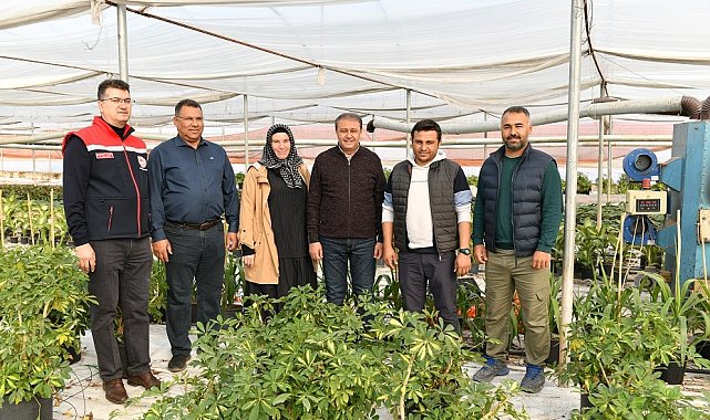 Vali Şıldak, emekli fizyoterapist Hüsna Tunalı’yı üreticisi olduğu serada ziyaret etti