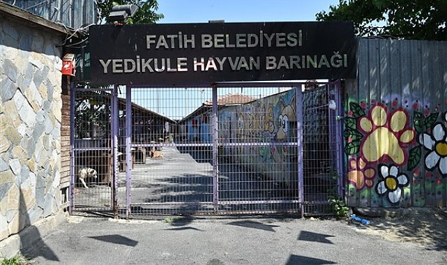 Yedikule Hayvan Barınağı yeniden inşa ediliyor