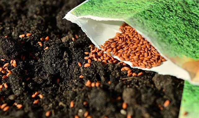 Bakan Yumaklı: Yerli tohum oranını yüzde 97'ye yükseltirken, 117 ülkeye ihracat yapıyoruz