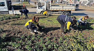 Başkan Çerçioğlu Didim'i Rengarenk Çiçeklerle Süslüyor