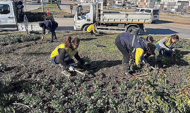 Başkan Çerçioğlu Didim'i Rengarenk Çiçeklerle Süslüyor