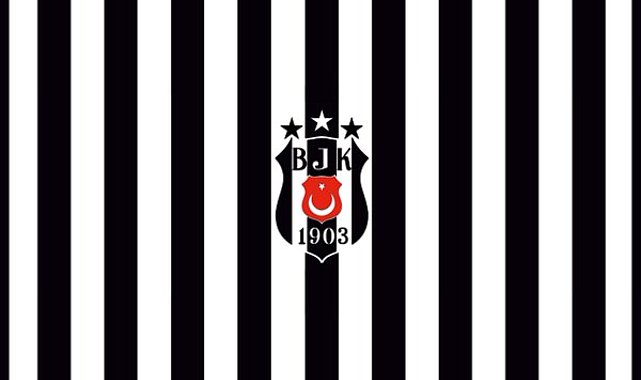 Beşiktaş Yönetim Kurulu’nda görev dağılımı yapıldı