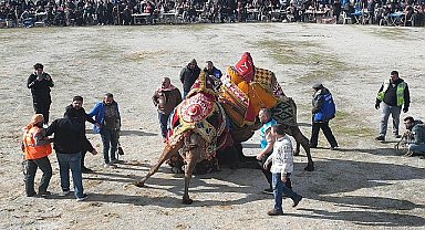 Burhaniye'de Hasat Festivali İçin Geri Sayım Başladı