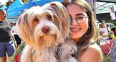 Büyükşehir can dostlara umut oldu 25 bin hayvan kısırlaştırıldı, bin 200'ü sıcak yuvaya kavuştu 