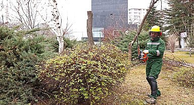 Çankaya'da ağaçlar bahara hazırlanıyor: Parklarda budama çalışmaları devam ediyor