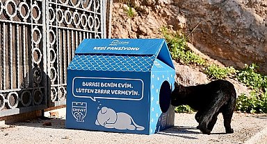 Çeşme Belediyesi'nden sokaktaki minik patilere sıcak bir yuva!