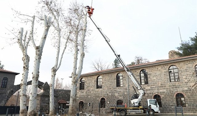 Diyarbakır'da 25 bin ağaç budandı