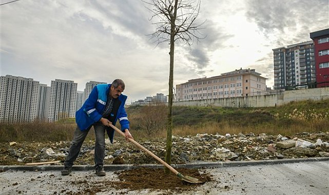 Esenyurt'un sokaklarında ağaçlandırma çalışmaları yapılıyor