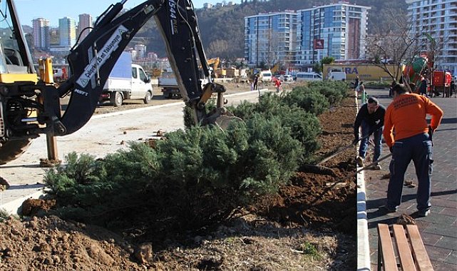 Giresun Belediyesi, ağaçlandırma ve çiçeklendirme çalışması yapıyor