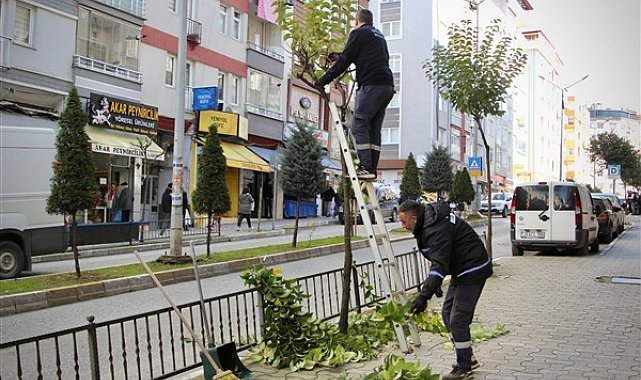 Giresun'da budama ve çevre düzenleme çalışmaları devam ediyor