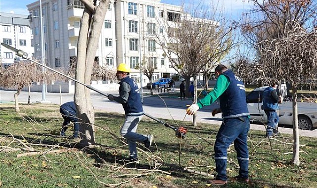 Haliliye’de park ve sokaklarda peyzaj çalışmaları sürdürülüyor