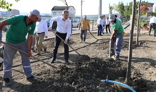 İnegöl'de 2024 yılında bin 124 yetişkin ağaç dikildi