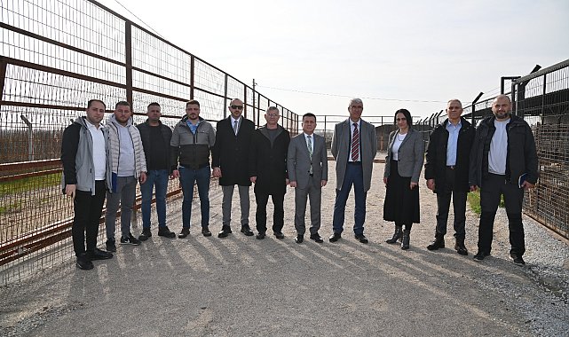 Manisa Sokak Hayvanları Komisyonu çalışmalarını sürdürüyor