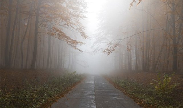 Meteoroloji'den buzlanma, don, çığ ve sis uyarısı