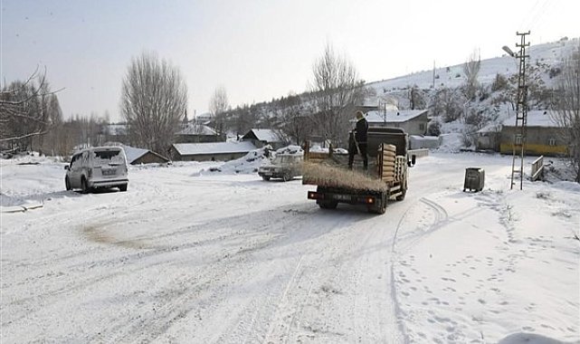 Muş'ta buzlanmaya karşı tuzlama çalışması