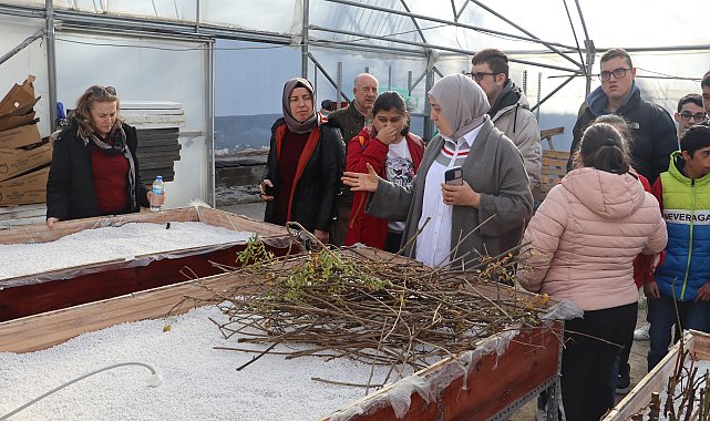 Ordu Biyoinovasyon Merkezi ata tohumlarını koruyor ve çoğaltıyor