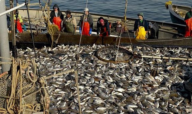 Rusya, Karadeniz'den gelen balık ve deniz ürünleri üzerindeki denetimi sıkılaştırıyor