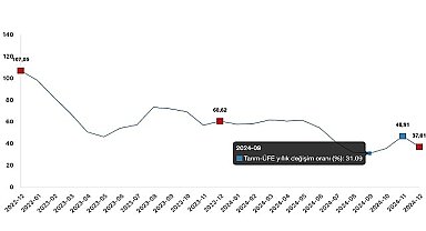 Tüik: Tarım ürünleri üretici fiyat endeksi (Tarım-ÜFE) yıllık %37,01 arttı, aylık %0,39 azaldı