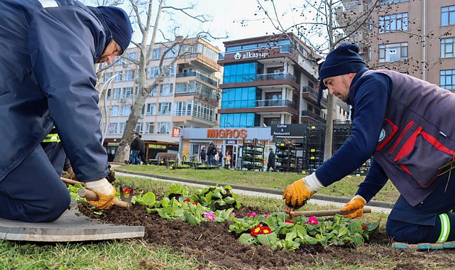 Yalova Akasya Park'ta çiçek ekimi