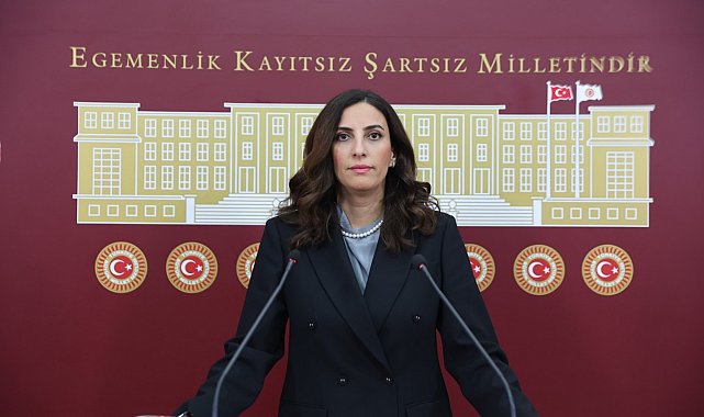 DEVA Partili İstanbul Milletvekili Rızvanoğlu, İklim Kanunu Teklifi’ni eleştirdi
