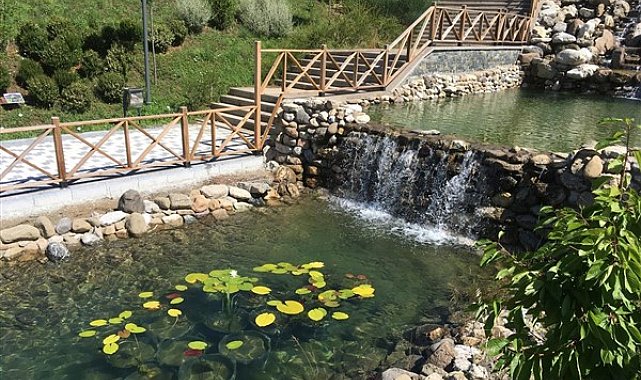 Düzce'de Dünya Sulak Alanlar Günü kutlanıyor