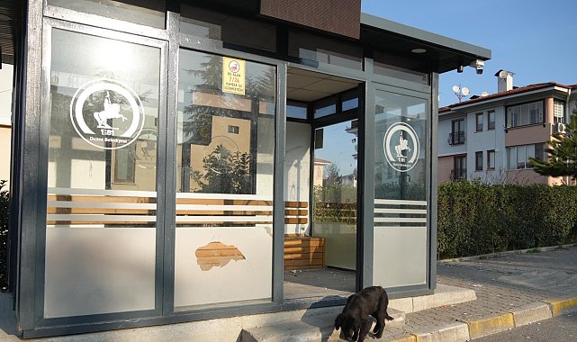 Düzce'de kimliği belirlenemeyen şahıslar tarafından kamu malına zarar verildi