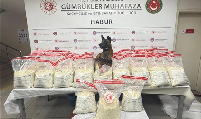 Habur Gümrük Kapısı’nda 370 kilo uyuşturucu madde ele geçirildi
