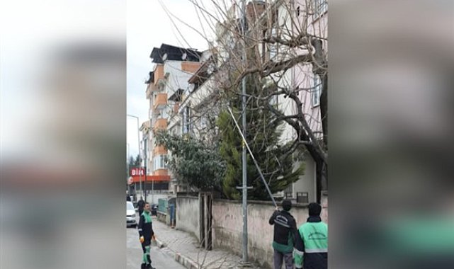 İnegöl Belediyesi, ağaç budama çalışmalarını sürdürüyor