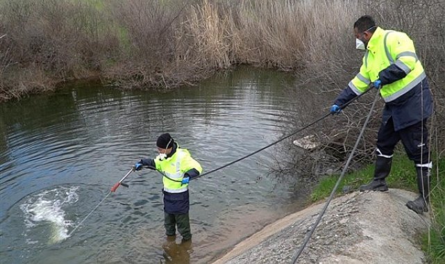 İzmir'de sivrisineklere yönelik mücadele sürüyor