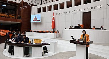 DEVA Partili Esen, Genel Kurulda okul güvenliği konusuna dikkat çekti