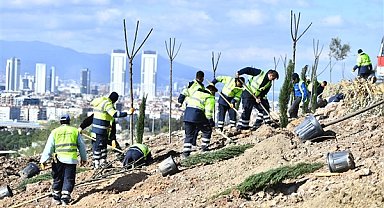 İzmir Büyükşehir Belediyesi, Bornova’da bin ağaçlık orman oluşturuyor