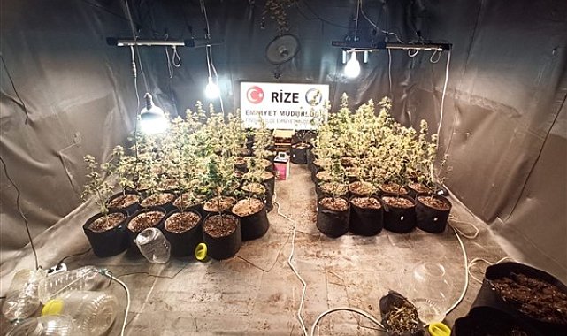Rize'de uyuşturucu operasyonu: 3 tutuklama