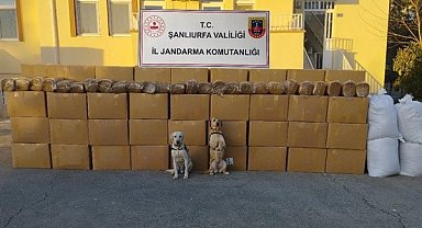 Şanlıurfa'da 10 kilo 785 gram kıyılmış kaçak tütün ele geçirildi
