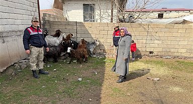 Şanlıurfa’da hayvan hırsızlığı yapan 7 şüpheli yakalandı