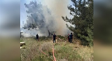 Belen Sarımazı'da orman yangını kontrol altına alındı