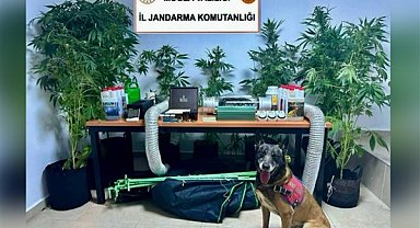 Bodrum'da uyuşturucu operasyonu