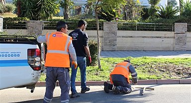 Büyükşehirden Kemer’de peyzaj çalışması