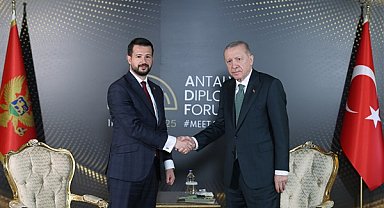 Cumhurbaşkanı Erdoğan, Karadağ Cumhurbaşkanı Milatoviç ile görüştü