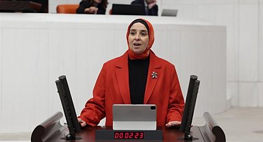 DEVA Partili Esen: Net sıfır emisyon hedefi yalnızca dile getiriliyor