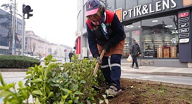 Düzce'de çevre düzenlemeleri faaliyetleri yürütüldü