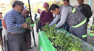Pamukkale'de yerli fide dağıtımı gerçekleştirildi
