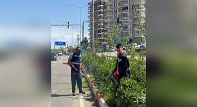 Siirt'te belediye ekipleri çalışmalarını sürdürdü
