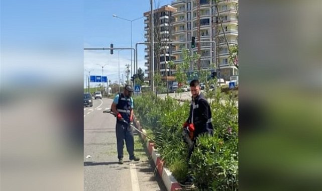 Siirt'te belediye ekipleri çalışmalarını sürdürdü