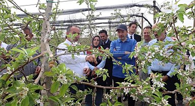 Tarım ve Orman Bakanlığı heyeti, Karaman'da zirai dondan etkilenen alanlarda inceledi