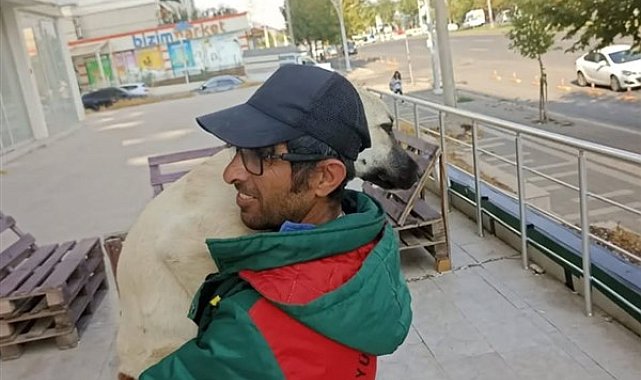 Hayvansever Aydoğmuş'tan sokak hayvanları için destek çağrısı
